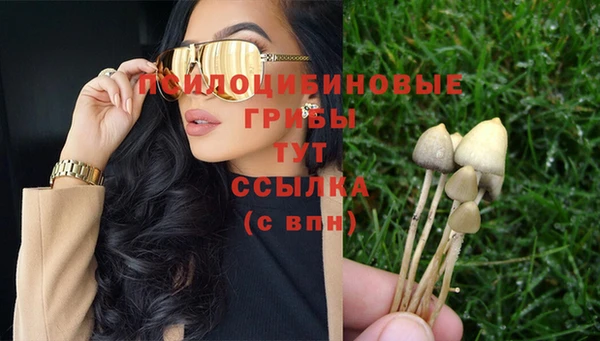 соль ск Белоозёрский