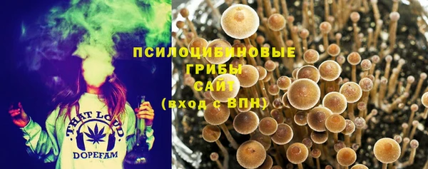 ГАЛЛЮЦИНОГЕННЫЕ ГРИБЫ Богородицк